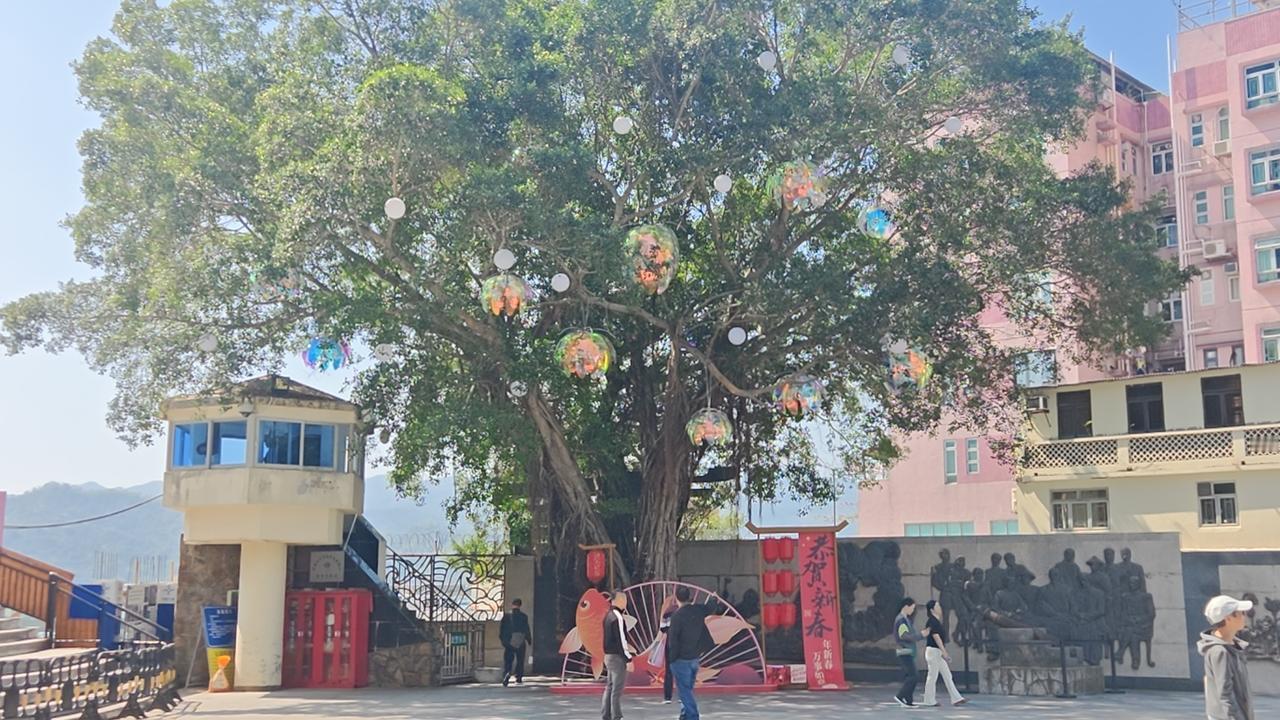 深圳沙头角的中英街，是“深圳八景”之一，景色独特又有历史韵味。它长约250米，宽