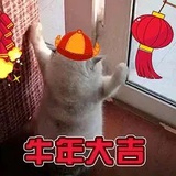 杨枝吹国际