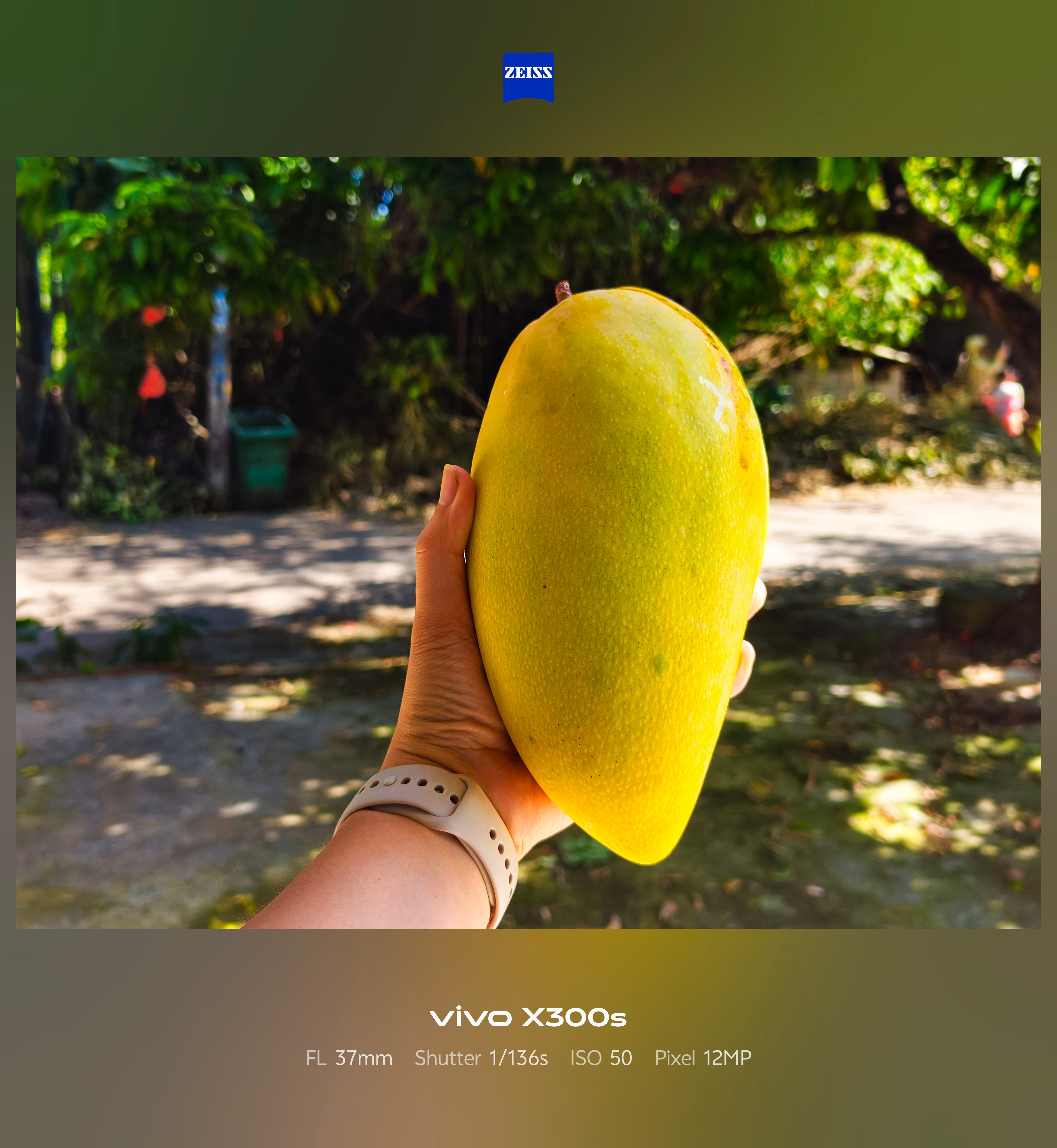 你的最爱吗？芒果🥭。 