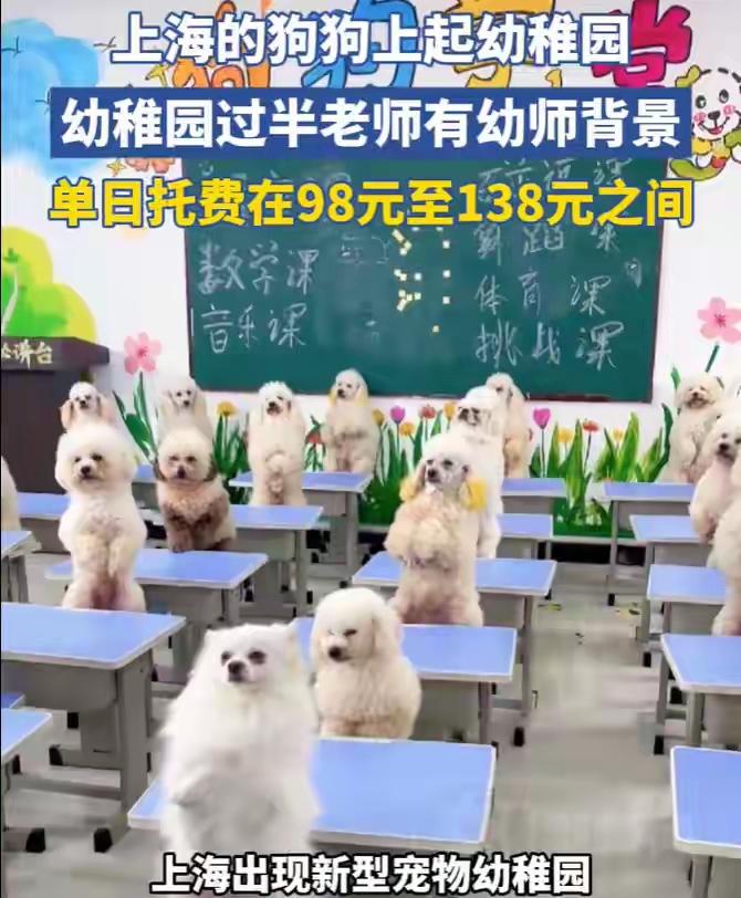 如果再给我一次选择的机会，我宁愿做一条狗，也不情愿再做人了，做人真的很累，做一个
