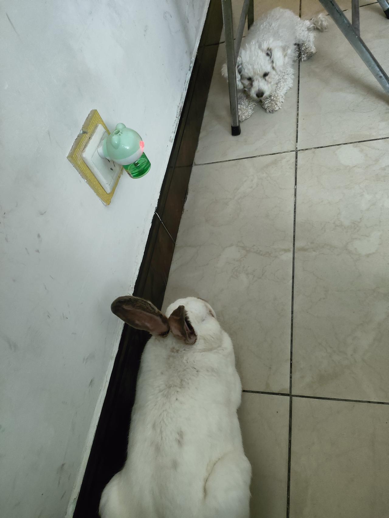 晒图笔记大赛不用热闹玩耍，就这么安安静静待在一块儿，就是简单的小幸福。