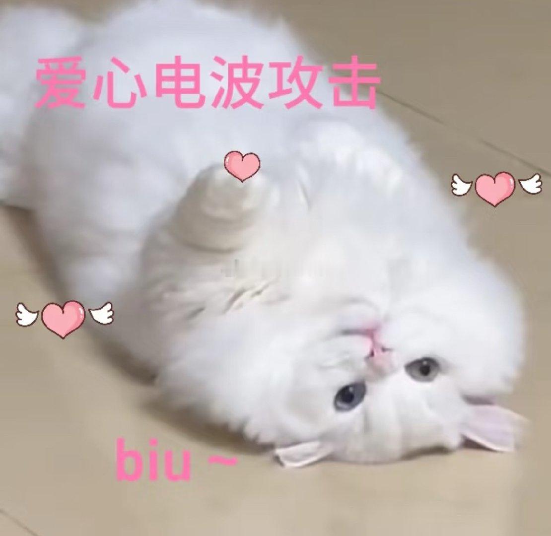 由于每次见面都在姨妈期，🐺只能气急败坏的无能狂怒🐺：下次来我要折腾你一晚上！