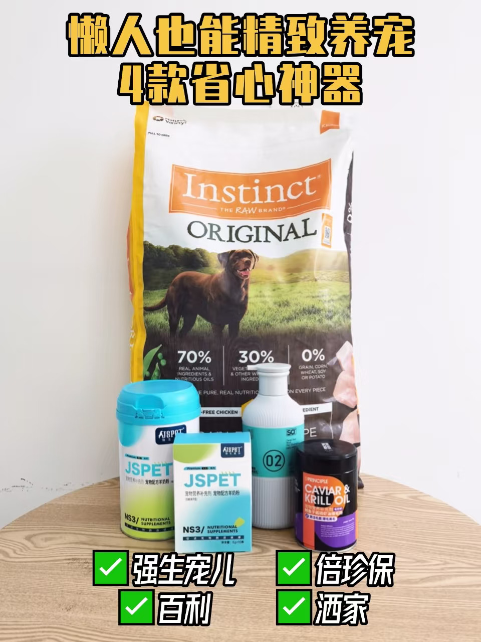 打工人养狗心得！懒人也能精致养宠