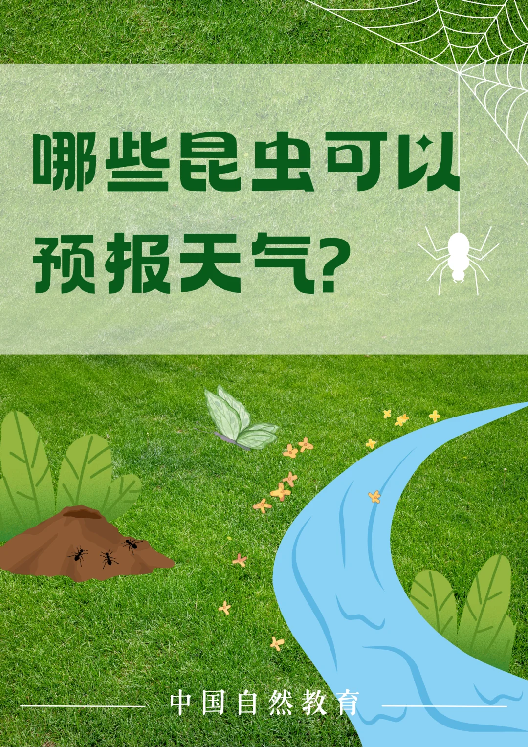 科普知识｜哪些昆虫可以预报天气？