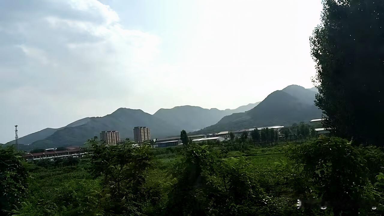 我就这么说吧。不管你信还是不信，
这些劣质电动车。我这里所指的是新能源，未来的电