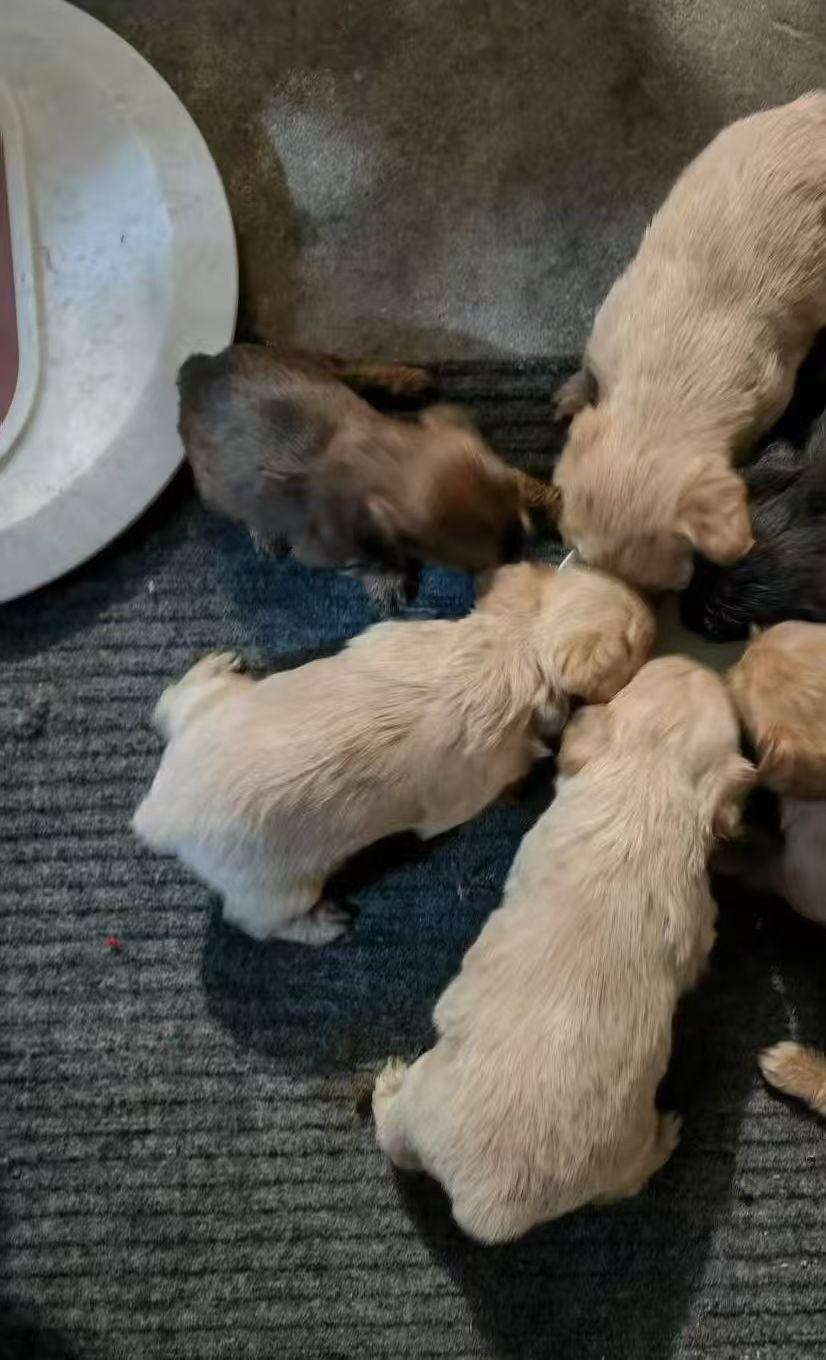 旭日东升 艳阳高照
愿一切美好皆如期而至！