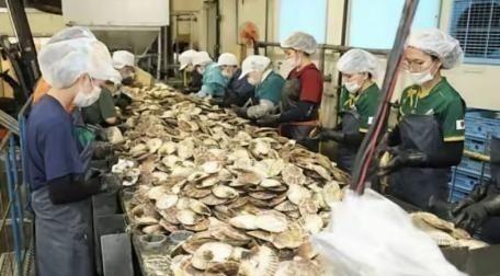 日本排放核水后，奇怪的事发生了。刚开始各国对海鲜避之不及，如今三年过去，出口数据