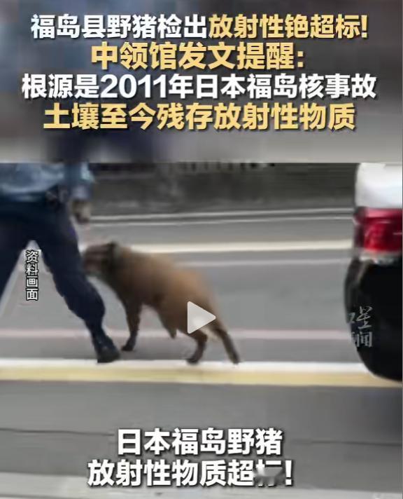 福岛核污染的危害，还在持续发酵！4月28日，据《福岛民报》报道，中国驻新潟总领馆