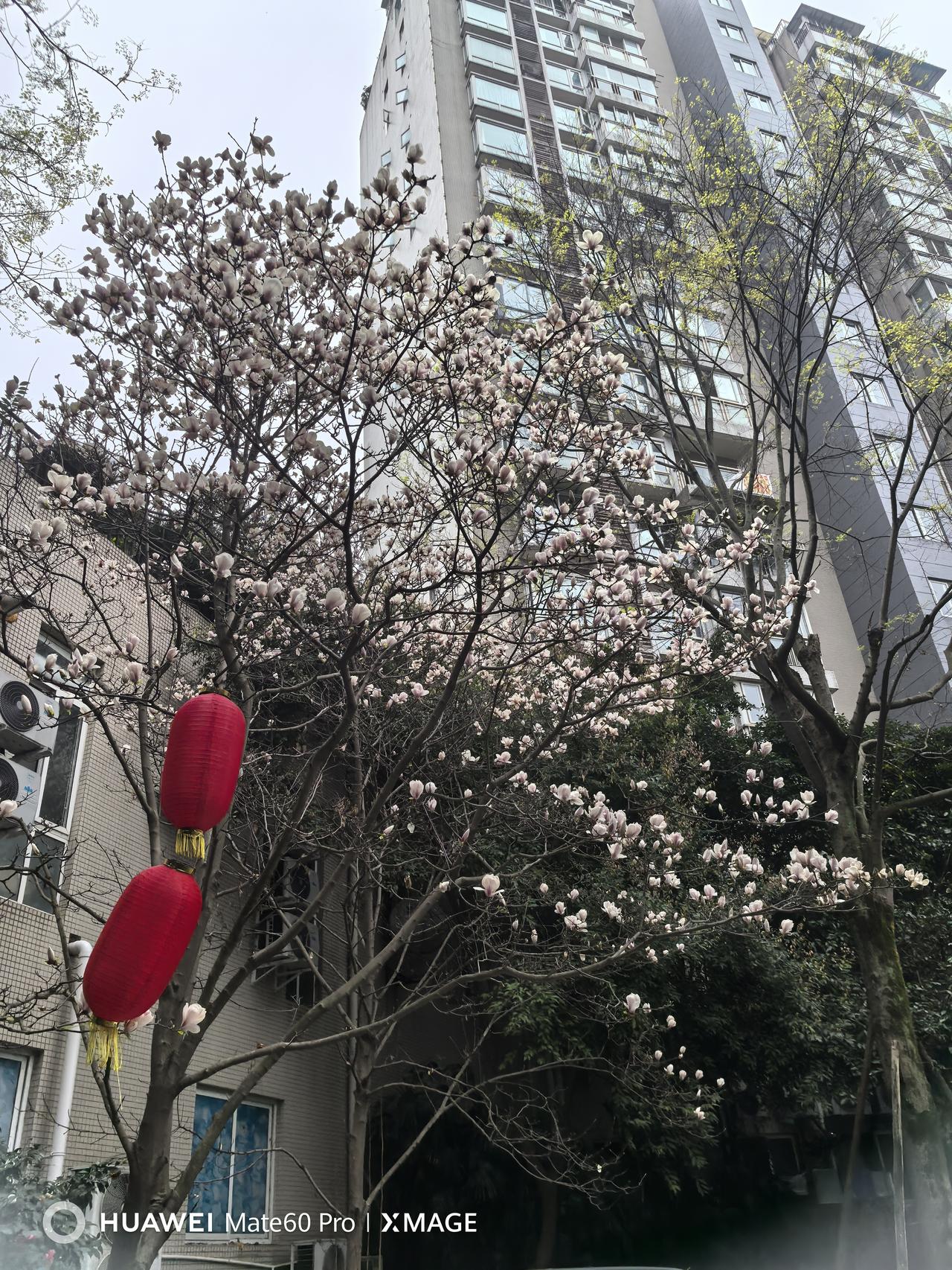 上当受骗的根本原因，并非“笨”，而是人性弱点被利用和信息差的存在。
人性弱点是被