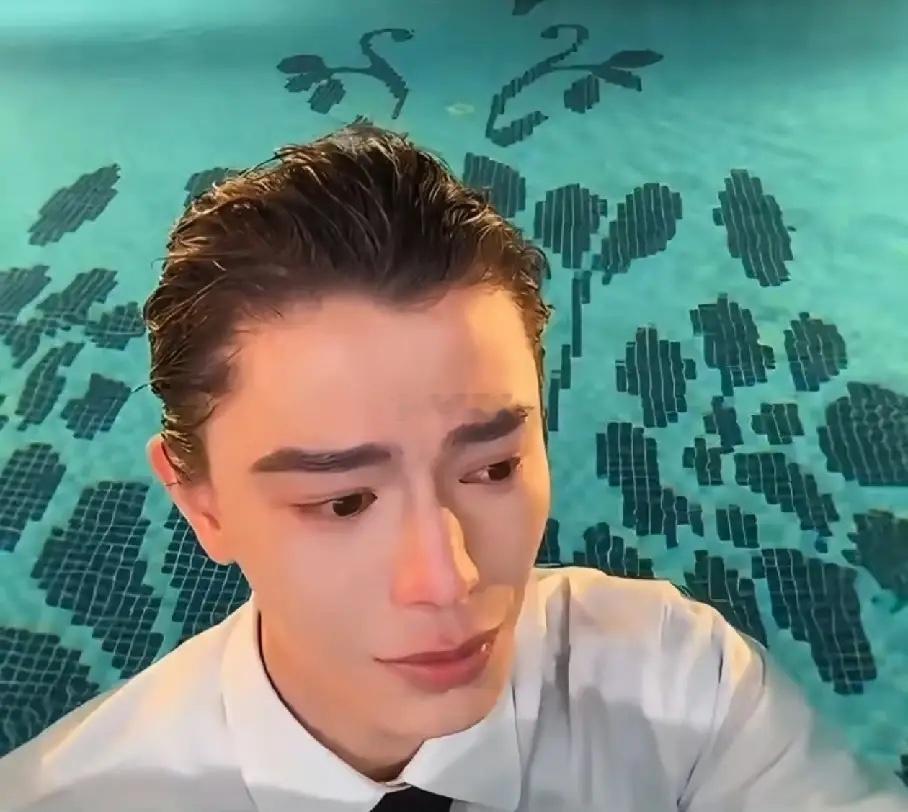 看到丁禹兮在泳池直播时大哭，才明白《南部档案》对他真的很重要。这部电视剧有原著背