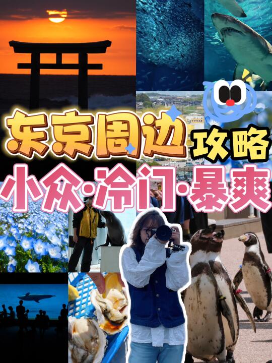 几乎没人知道‼小众冷门暴爽|东京周边1日游