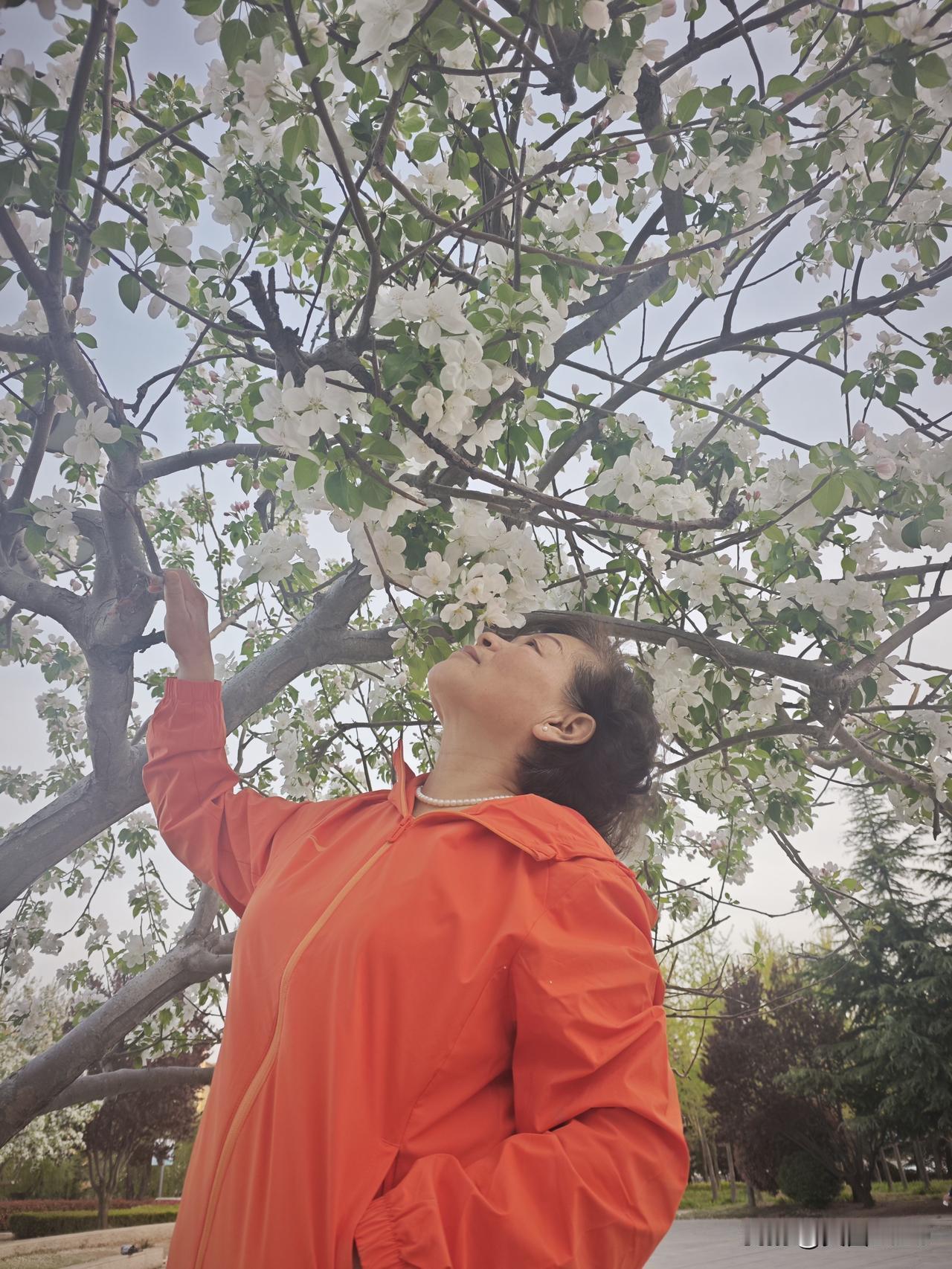 我家隔壁老王回来了。正准备给我炒菜呢。我都好几天没吃炒菜了，也不是我不会炒菜，就