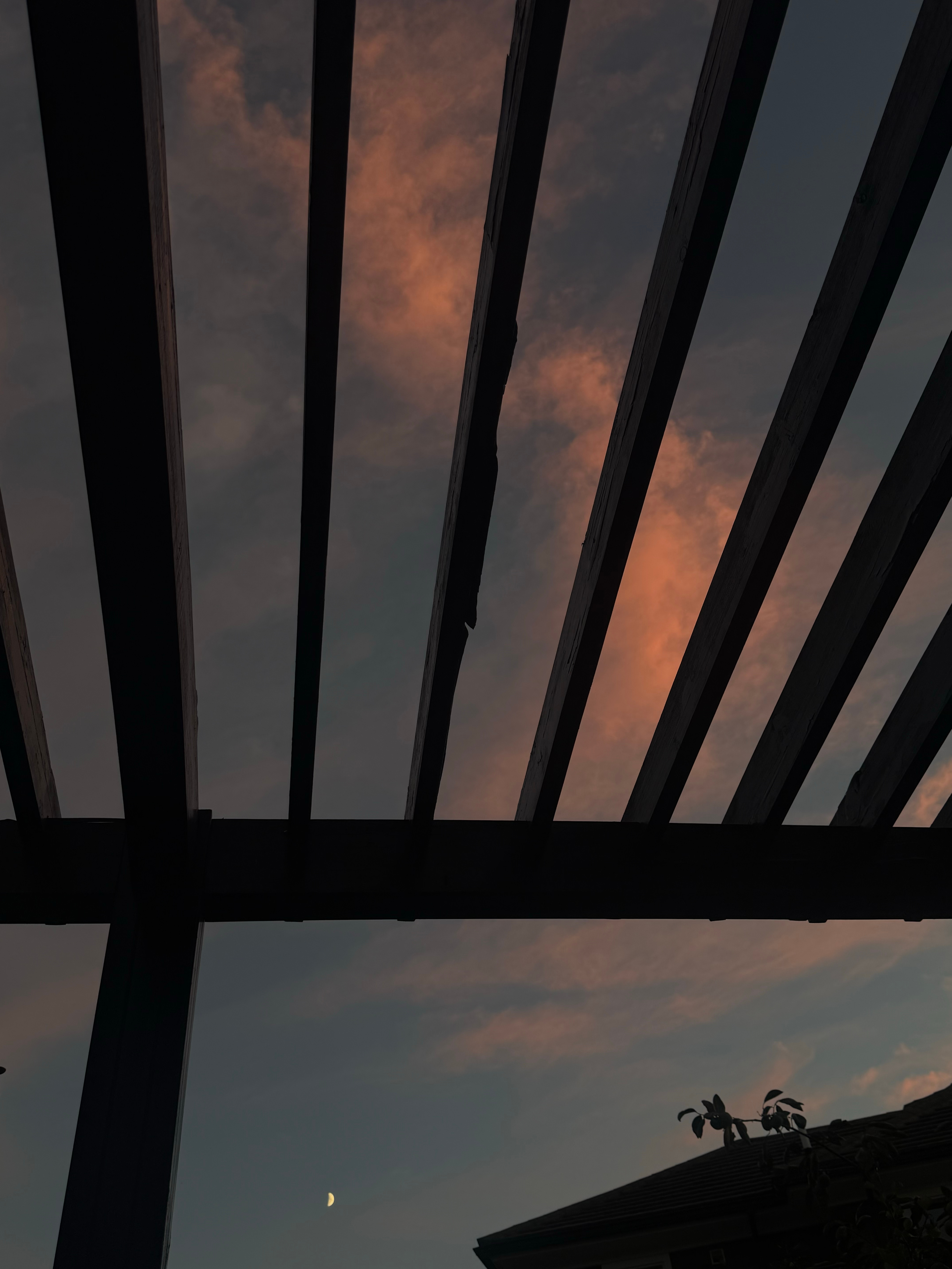 请你们看夕阳 ​​​