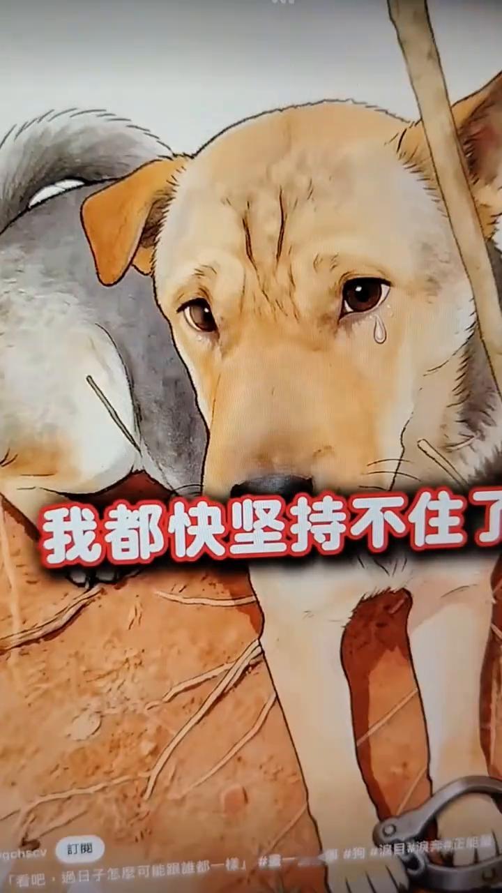 狗狗三日未归，全家踏山，终见困于兽夹寸步难。狗狗：日子怎么可能跟谁过都。
被捕兽