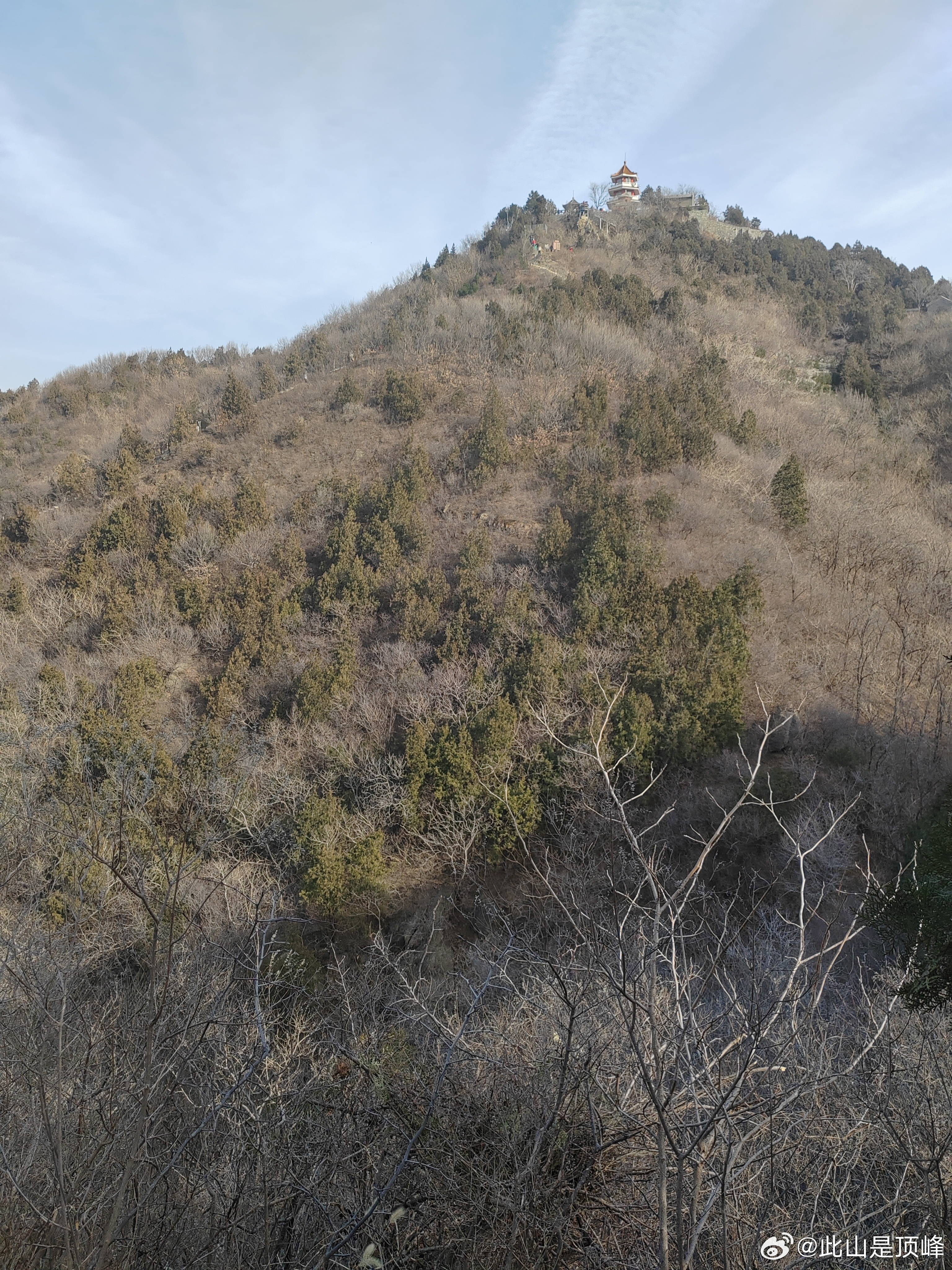 生活手记  看头头在冬训还那么开心，心情是美美的，晚安。明天再樊建，接着嘛。 