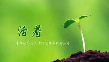 活着，便是最大的欢喜

有人问我：“这辈子最开心的事是什么？”

我笑了笑，答：