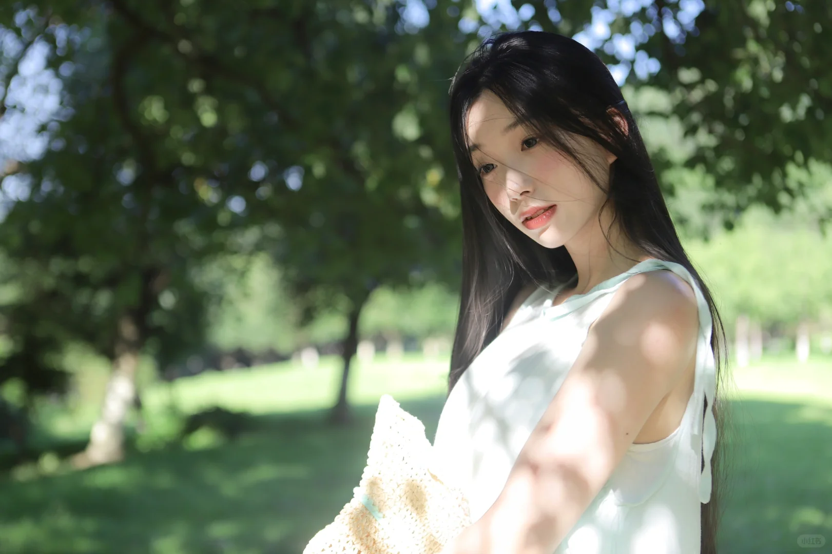 被微风吹过的夏天🍃