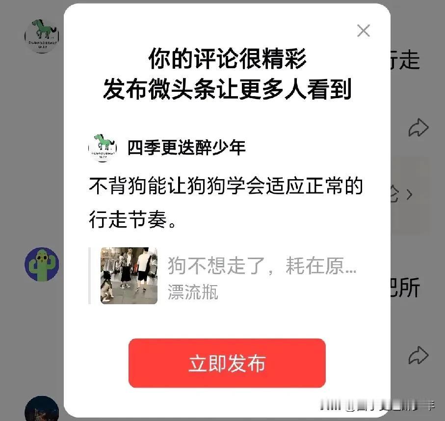 不背狗能让狗狗学会适应正常的行走节奏。
多此一举，非常令人讨厌。
以为网友说的非