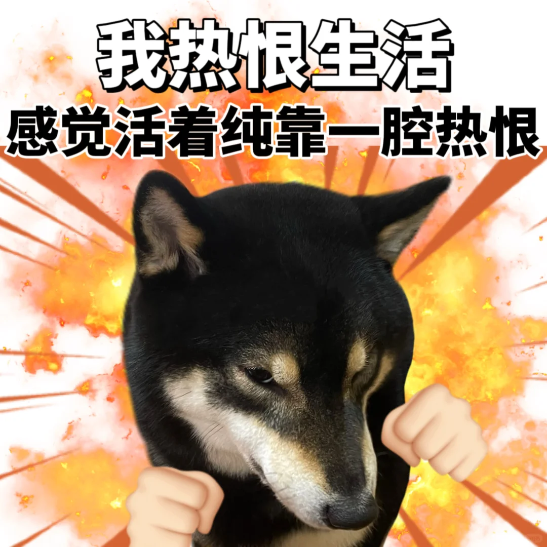 表情包|纯恨战士💢