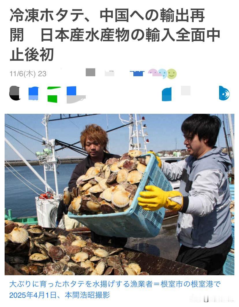 对于日本来说，喜汛不断，
6吨北海道产的扇贝已经达到
中国，这是自从2023月8