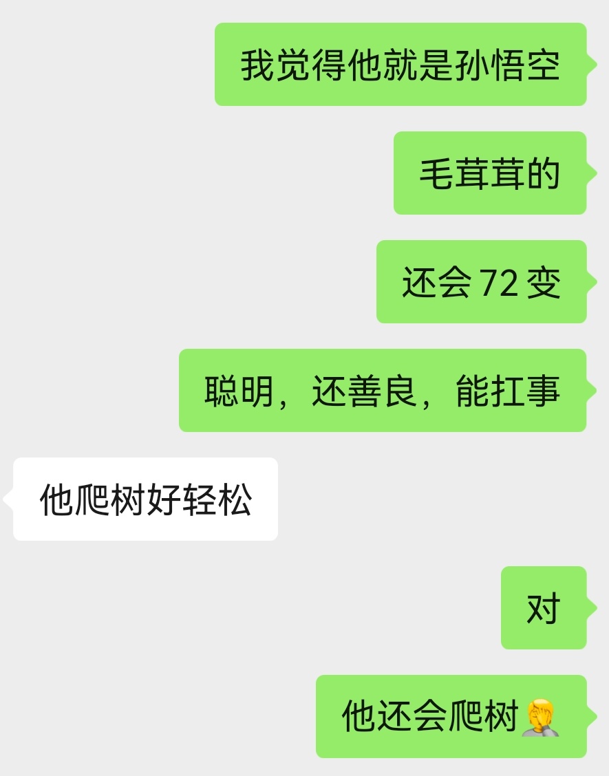 他是孙悟空这件事，等我会再找到新的证据[哈哈][哈哈] ​​​