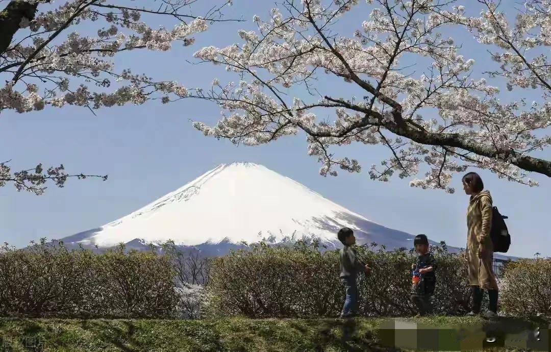 为啥这么多中国人爱到日本旅游？
日方的数据还显示，自2023年以来，中国内地来日