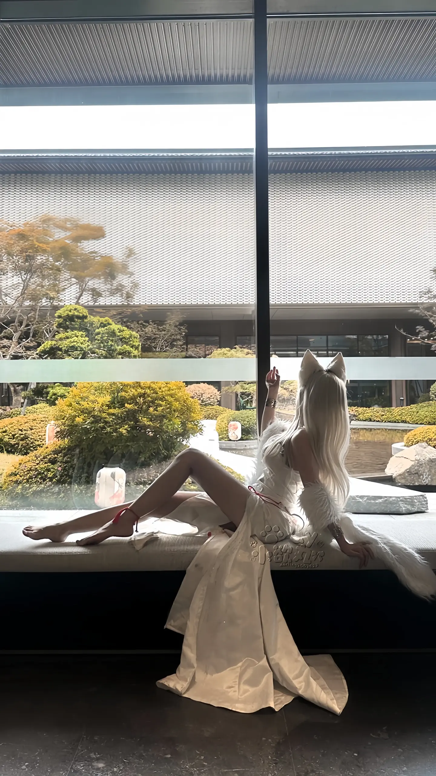 小狐狸