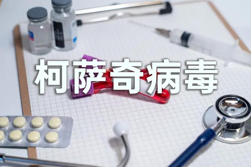 安第斯病毒是汉坦病毒的一种，也是目前唯一确认可人际传播的汉坦病毒，主要在南美流行