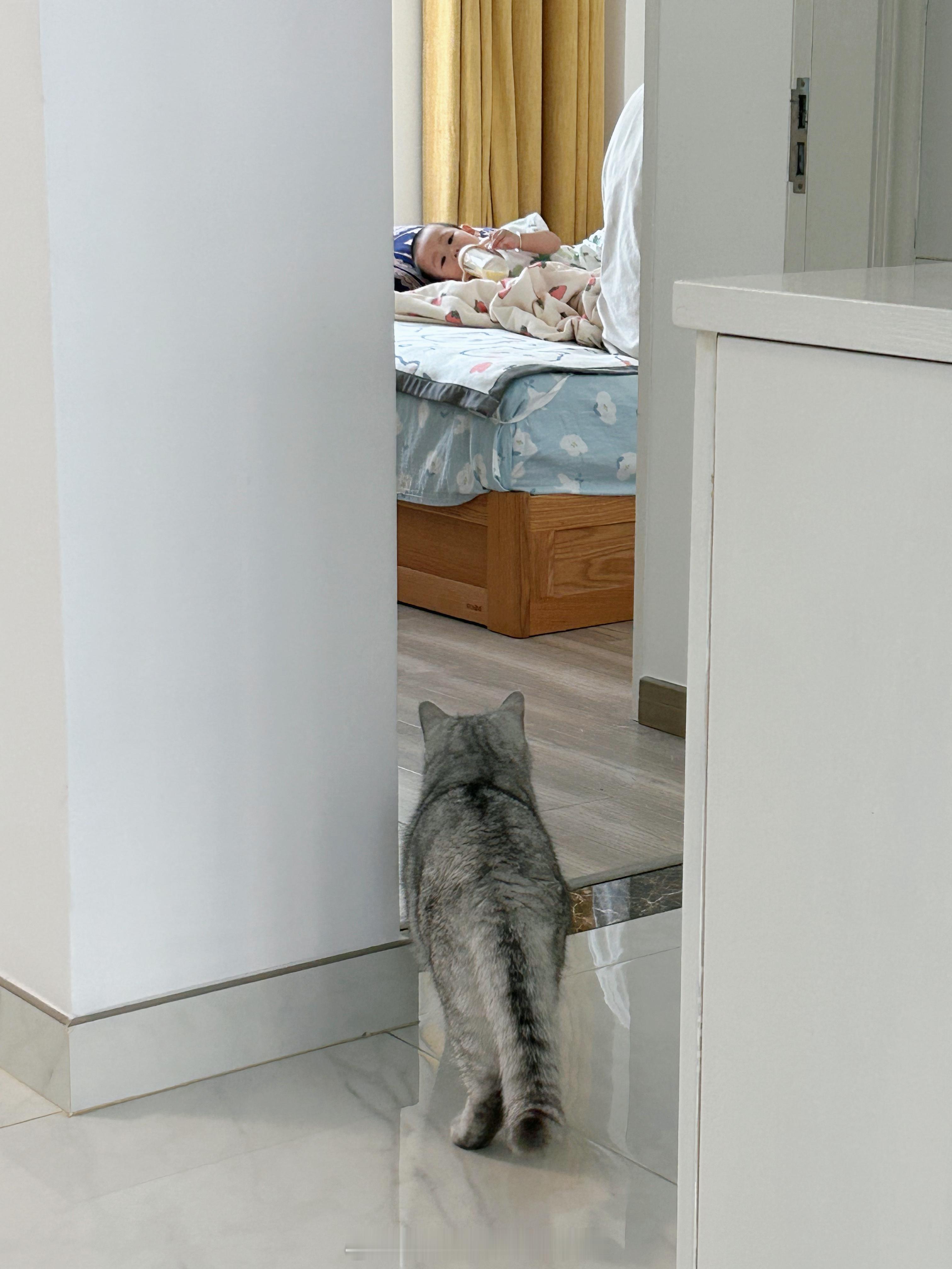 初级带娃技能练习中[揣手]#年糕才不要小鱼干[超话]# ​​​