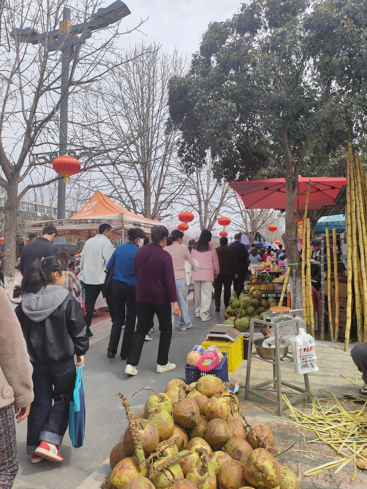 红灯笼在枝头晃着暖光，椰子堆成了春的小山，集市把烟火气，揉进了行人的步履里。