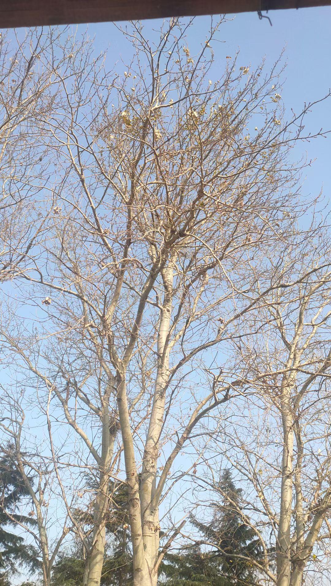分享一下你随手拍下的日常