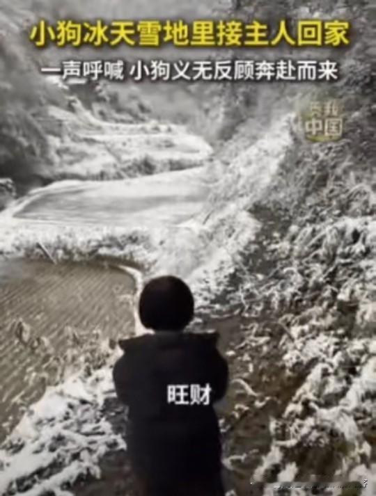 被新华社点赞了！湖北一女子带女儿回老家，眼看快到村里了，女子大喊：旺财，我回来了