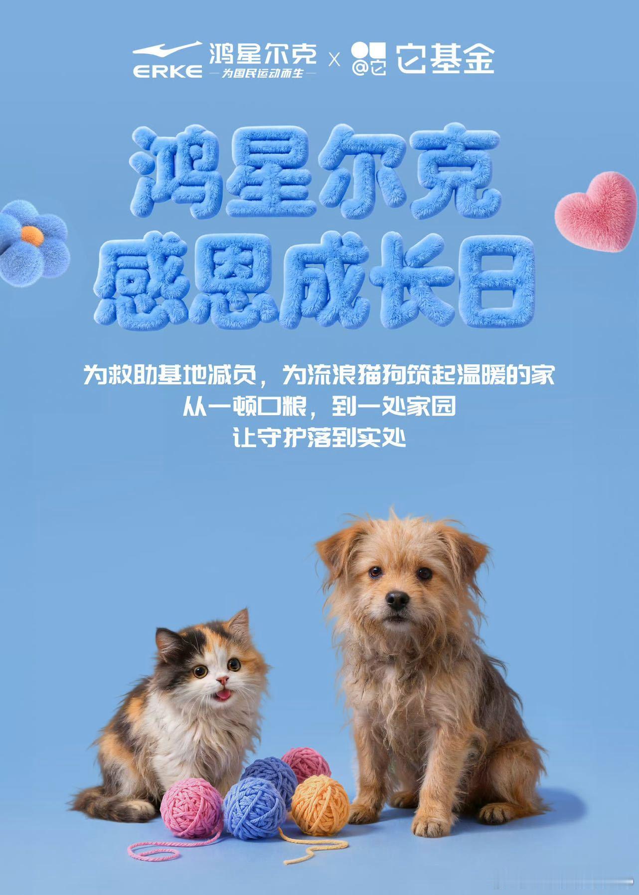 鸿星尔克店内收留流浪猫狗把门店变成流浪毛孩子的避风港，设立临时安置点，搭建爱心庇