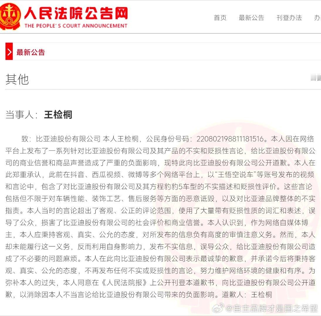 王检桐（王悟空）自述如何造谣抹黑 恶意诋毁比亚迪并道歉这就是黑水军 无论用何种理