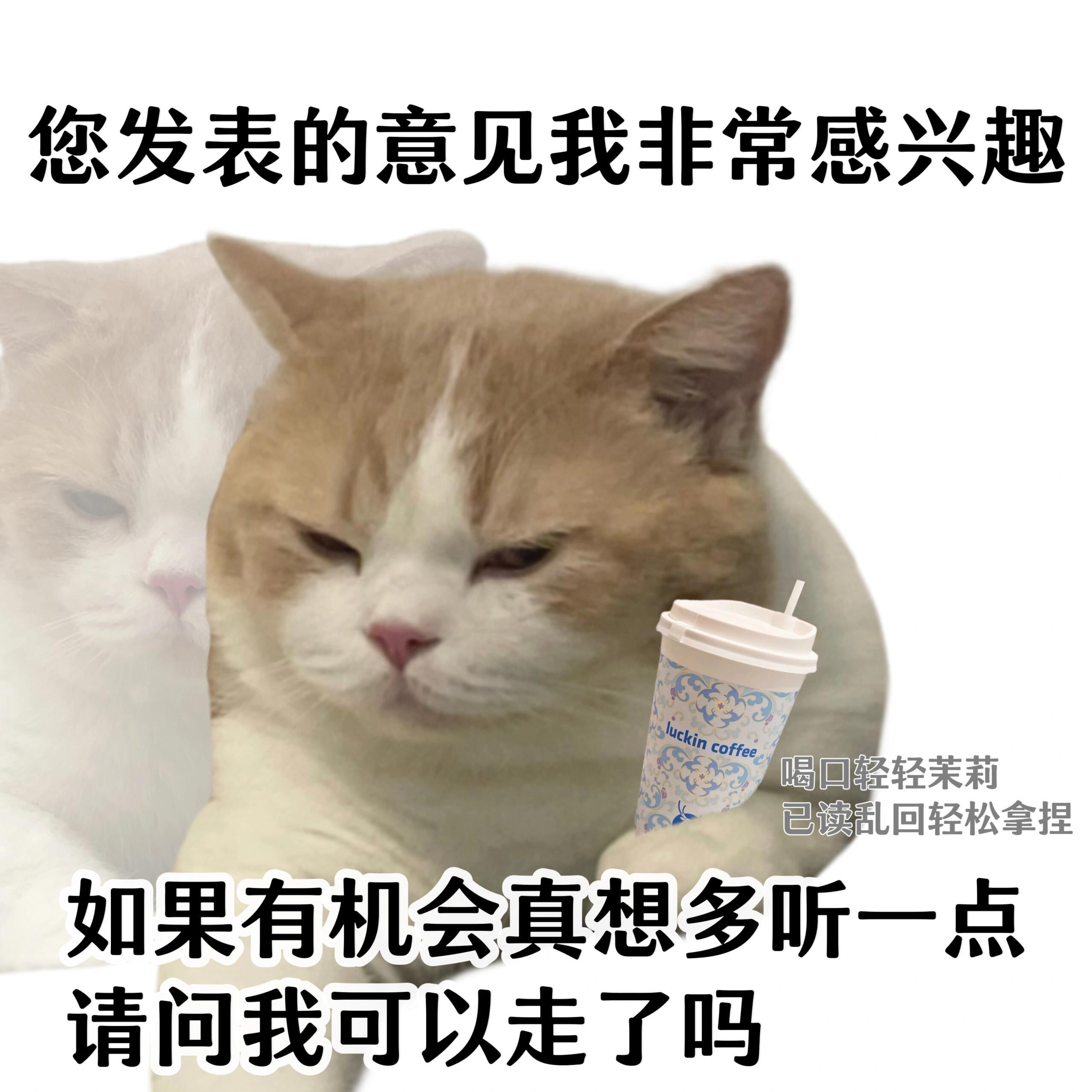 今天依然很忙，而且因为国内的很多人都要休假了，疯狂地赶线上流程做各种审批，因为走