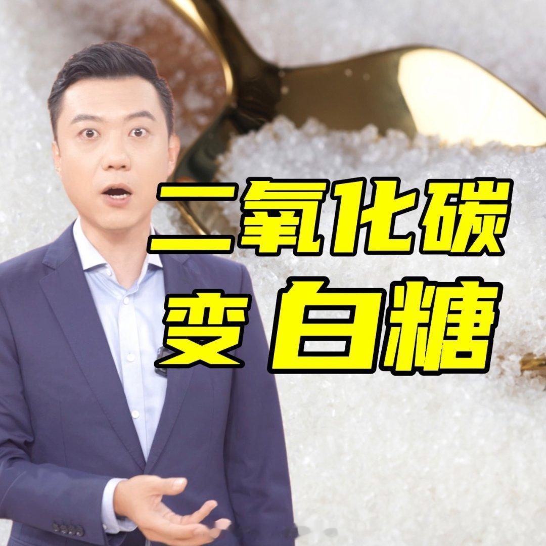 我国科学家把二氧化碳变成了糖到了战时，糖可是战略物资啊！ ​​​