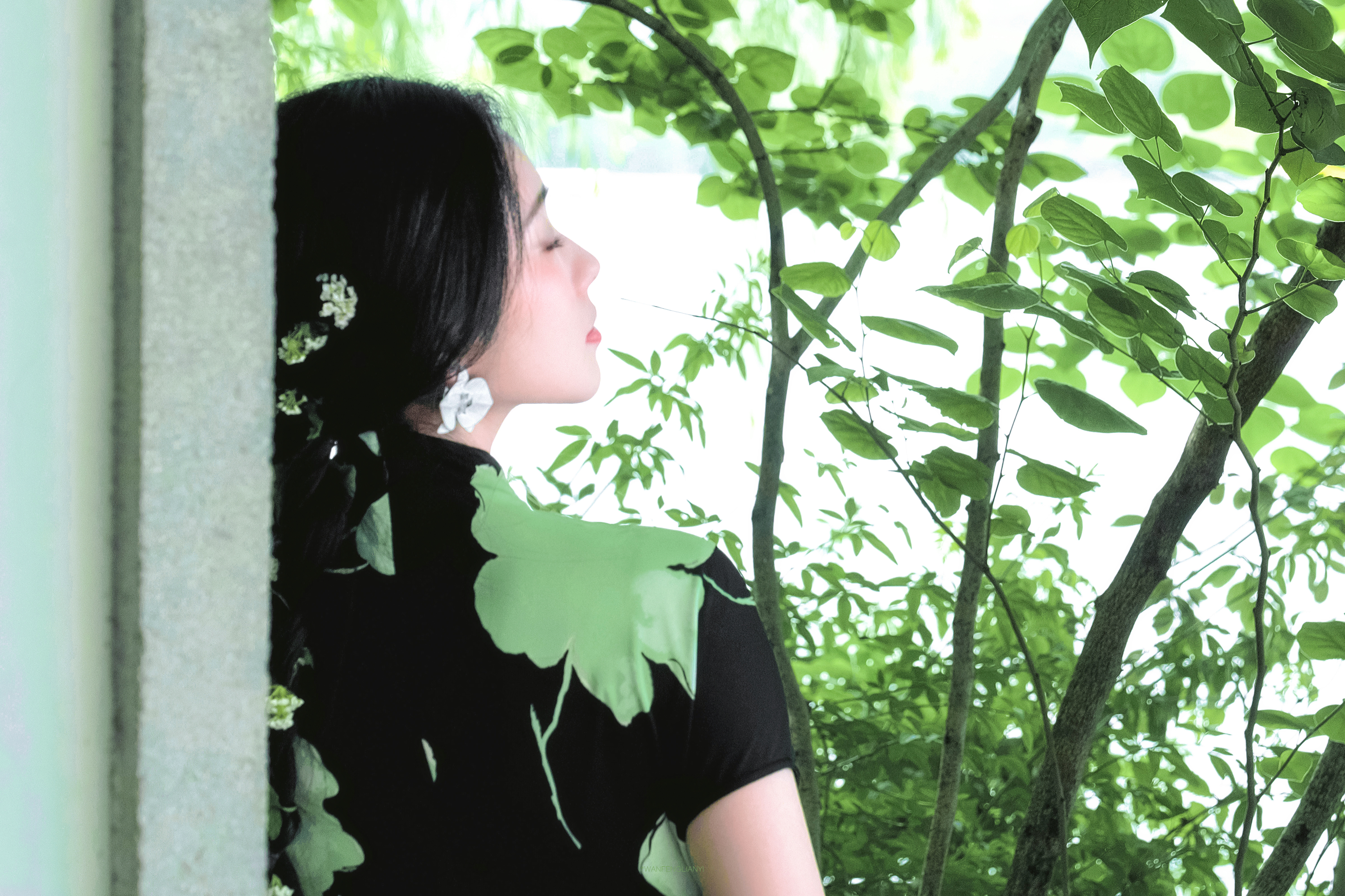 刘浩存🌳🍃💬 