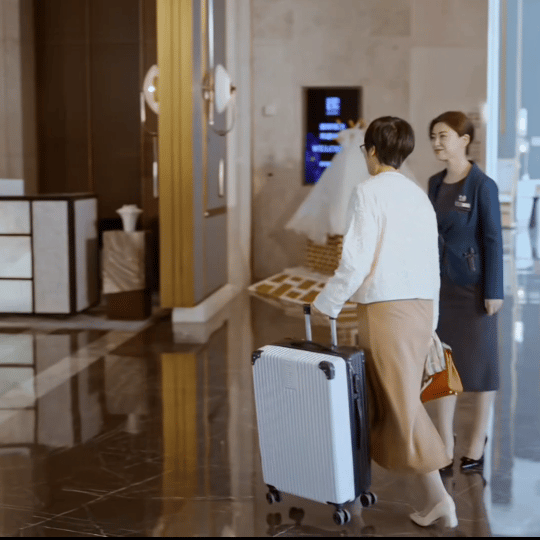 姐就这么拎着行李箱来了蜜语纪