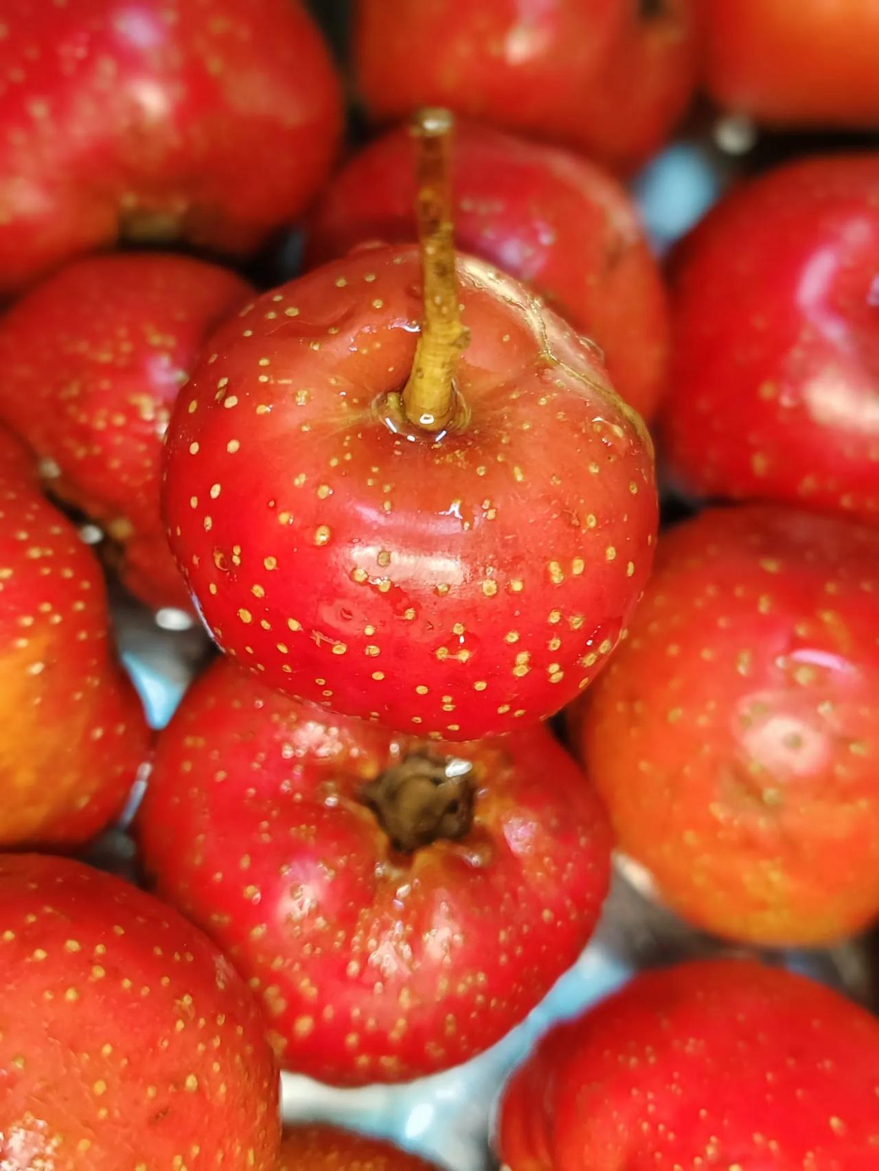 2026，六六大顺万事胜意。