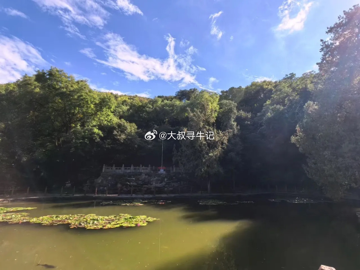 周四巿场值得关注板块：1，有色金属2，百货连锁3，电力电网4，农业板块5，化工化