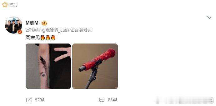鹿晗ins晒定制话筒 鹿晗晒出自己的新话筒🎤和ws🪶，为此次音乐节做了很多准