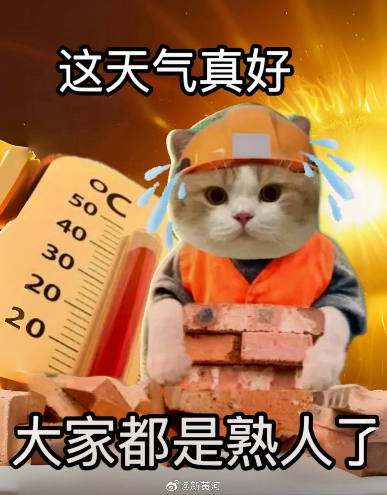 【世界气象组织：#今年夏天或是未来最凉快一年#】#整个地球在疯狂发烧# 别怀疑，