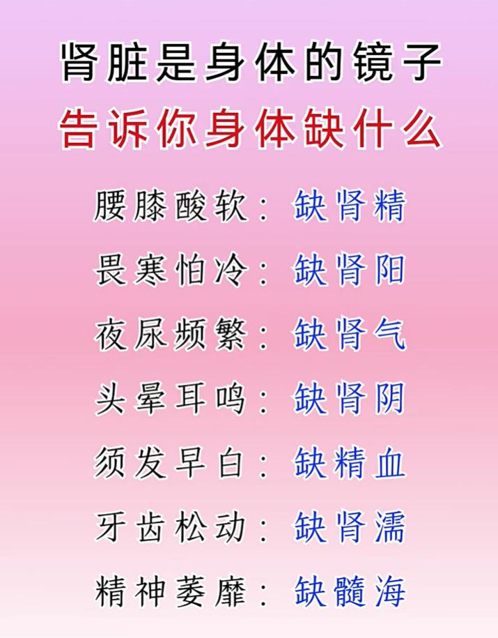 肾脏是身体的镜子，不同不适对应肾精、肾阳亏虚