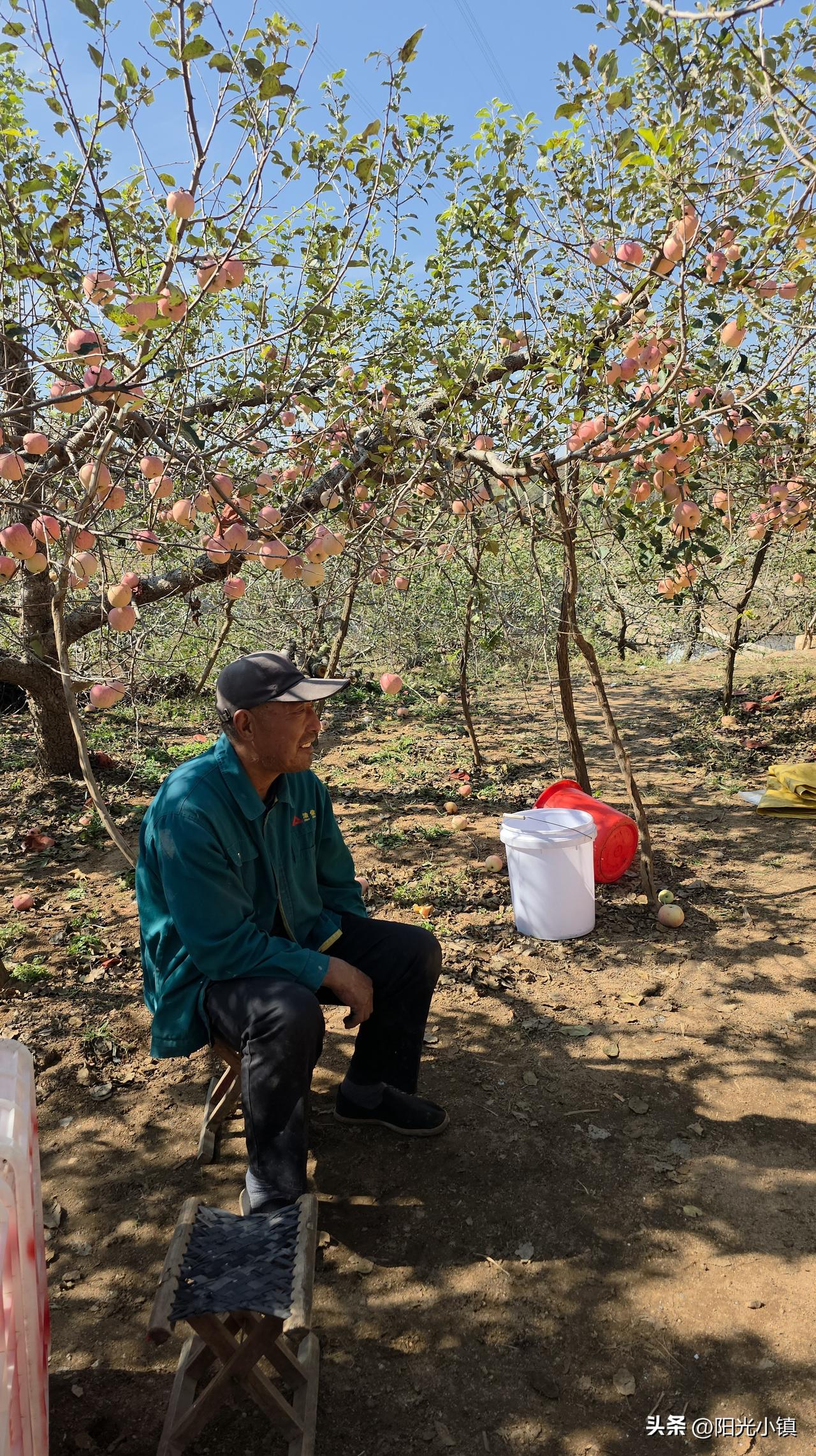 怎么会这样？二哥很无奈，也很有无力感……

其实不止二哥，我们这一代的农村，很多