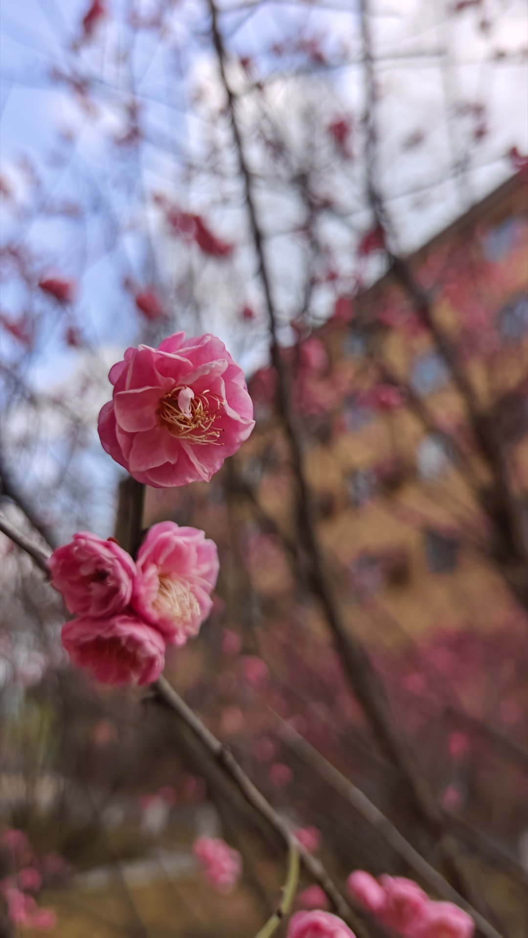 春意盎然，万物复苏。 