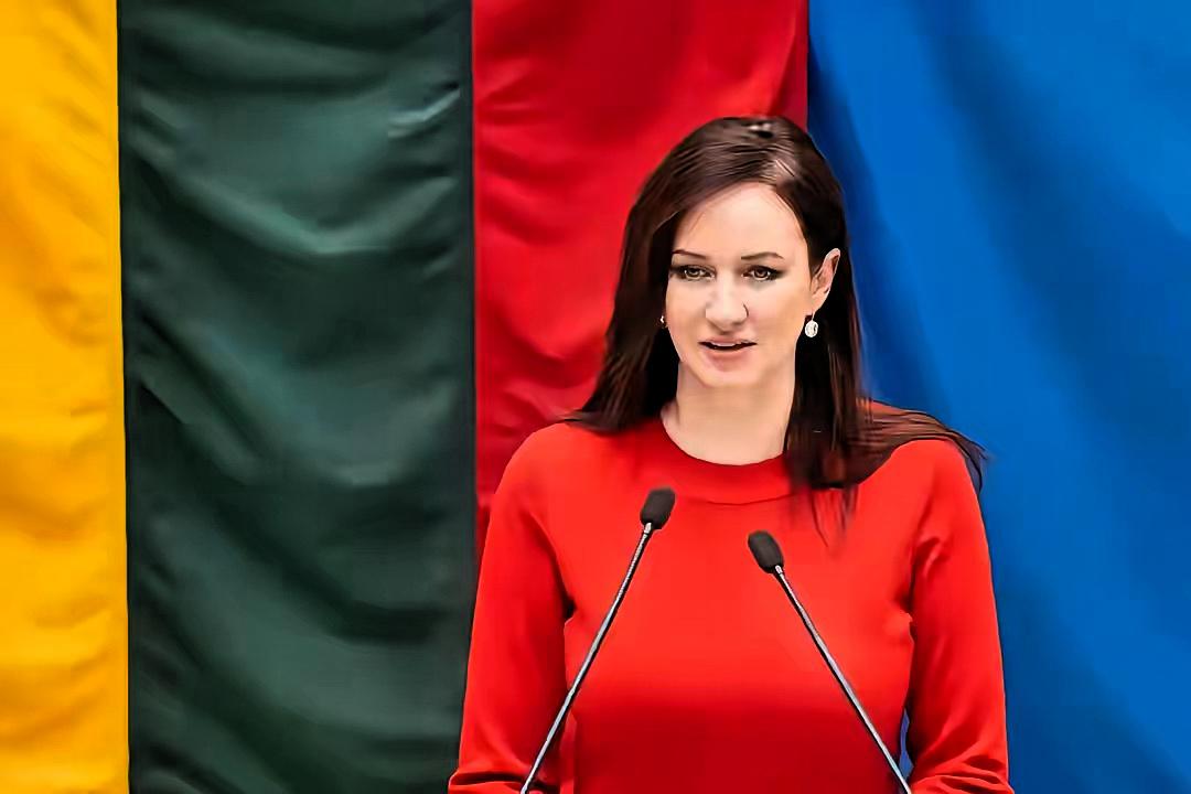 立陶宛终于认错了！
2月3日，波罗的海最大英文媒体《波海时报》爆出猛料：立陶宛新