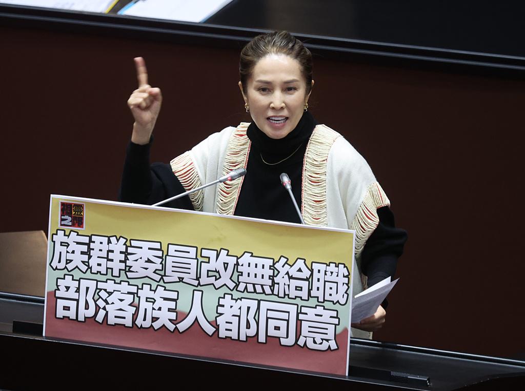 高金素梅涉贪遭求处重刑，博主痛批“重现历史暴政”
无党籍立委高金素梅涉嫌以人头诈