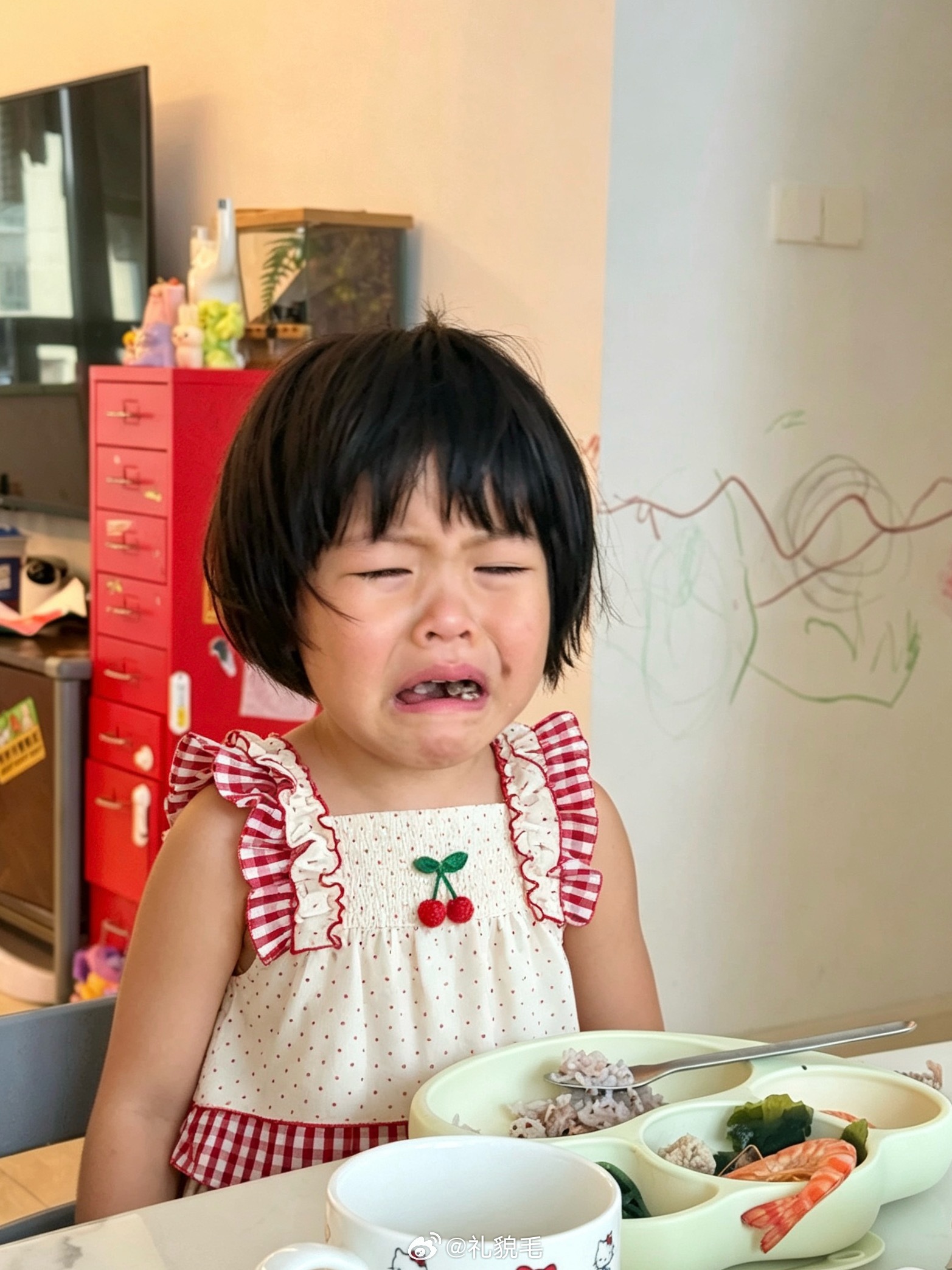 吃饭了球宝爱吃牛肉，一块接一块嚼嚼嚼压压按捺不住了：你吃点饭呀，吃点碳水才行，不