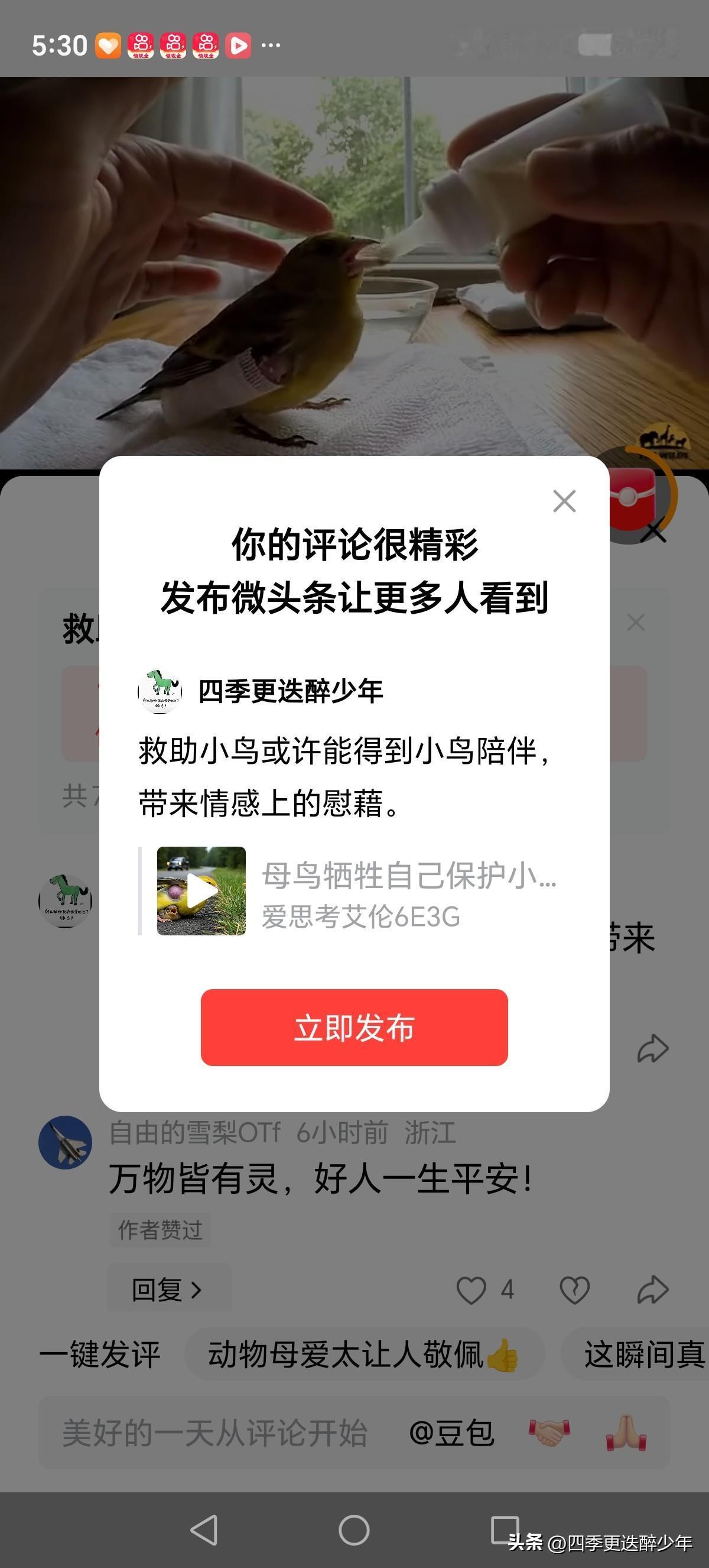 救助小鸟或许能得到小鸟陪伴，带来情感上的慰藉。
  好有耐心啊？值得大家学习。