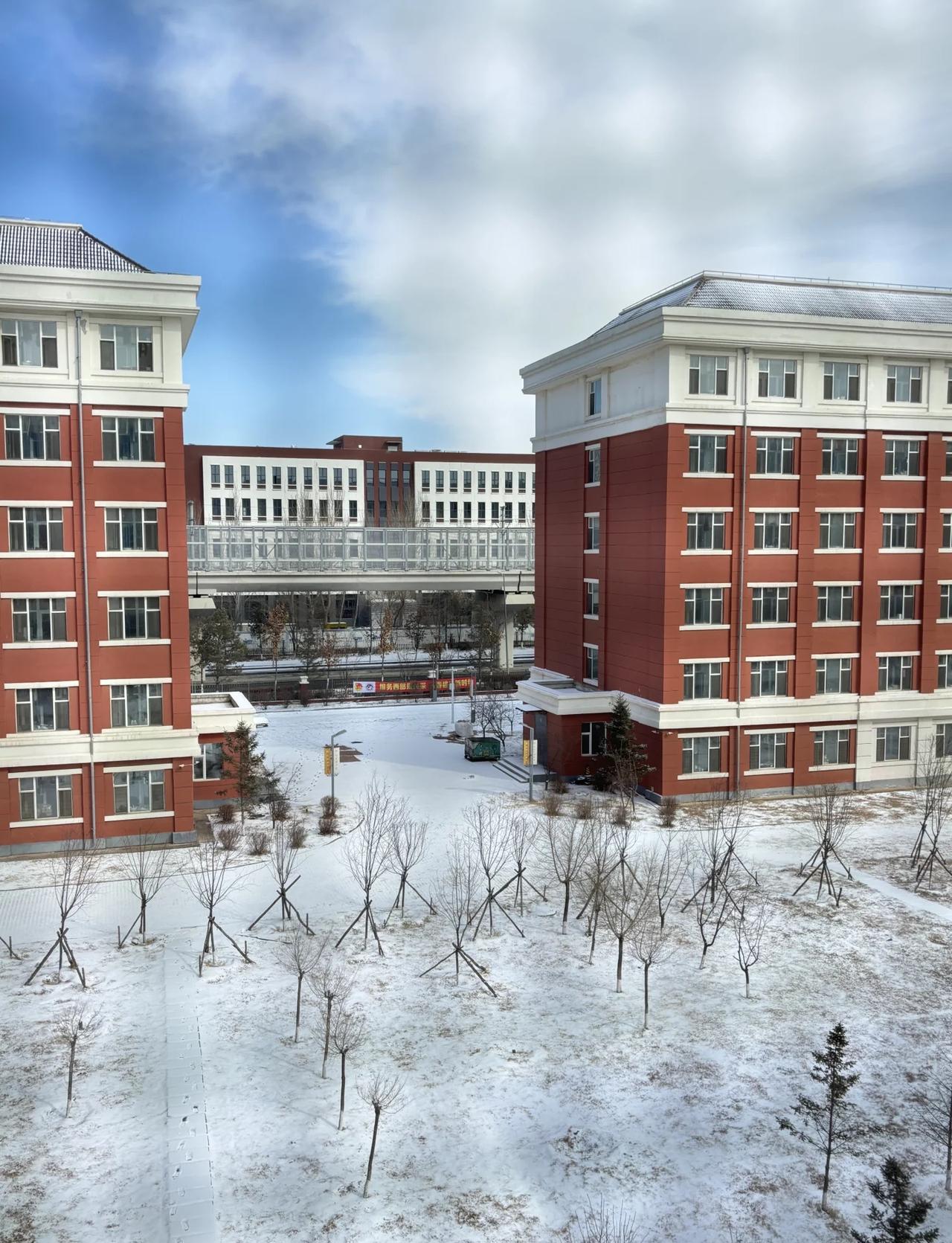 以为春天来了 实则冬天还没走
早上起床 外面竟然下雪了❄️
最后一场雪了吧 长春